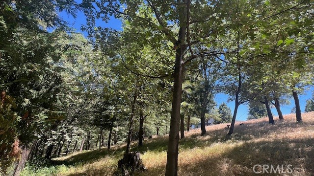 Great Location! with Lake Rights, gentle downslope ideal for level entry Home. Conveniently located on a paved and maintained road. Shaded lot with over 16000 square feet, almost level Lot, Incredible opportunity to invest in the Lake Arrowhead community. Come and enjoy the 4 seasons only 90 minutes from Los Angeles.