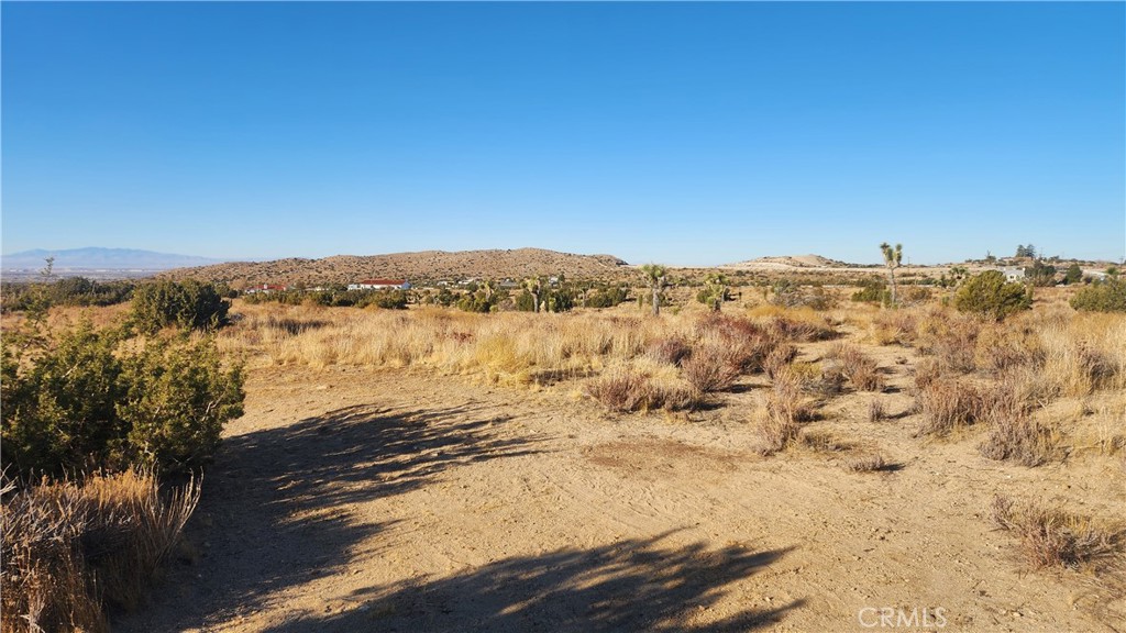 Excellent opportunity to own a little under 5 acres of land in a fantastic part of Pearblossom with a growing community. Developed plots already surround this lot. Many homes in this neighborhood are already in place. The land includes dirt, shrubs, trees, and other plants. It is usable and has beautiful views of the nearby mountains—the buyer can verify land use, zoning, utilities, and all other information regarding the property. The view is impressive—you can see the entire Antelope Valley. Build your house and enjoy this beautiful view in the afternoons. The seller is willing to do Seller Financing, meaning you can finance your lot with low payments and build simultaneously. I'd like you to please take advantage of this great opportunity. Water and power main line close to the property.