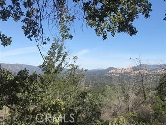 No CC&R's! Scenic & Remote! Seller Financing Upon Approval! There is an old rough cut road leading to a potential home site. Property is mostly steep & unusable, but there is a Creek running through the property. Electric is just down the road. Alamo Creek Rd. is steep so 4 X 4 is necessary to prevent damaging the road. Please do not go past gate at the end of the road (that property belongs to another owner).