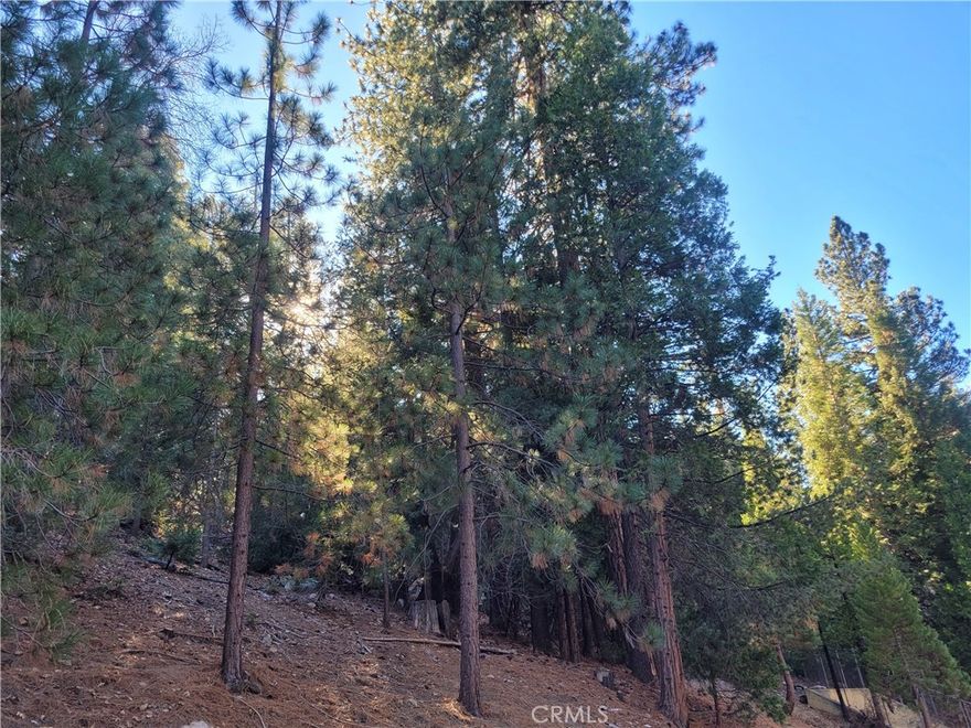 This beautiful lot, located just off Brentwood in a serene forested area, offers a peaceful retreat while still providing convenient access to maintained roads and utilities. Situated on an upslope, the lot will require some clearing, but it promises stunning potential for your dream home or getaway. With lake rights included, you’ll have the perfect opportunity to enjoy nearby water activities, all while being surrounded by nature’s tranquility. The location combines the best of both worlds: privacy in a quiet, wooded setting with easy access to the mountain communities.