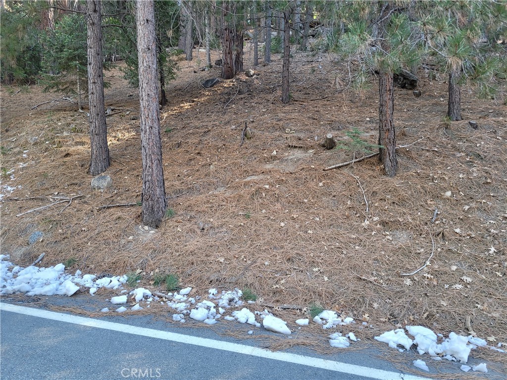 Arrowhead Woods (AWHW) - Land