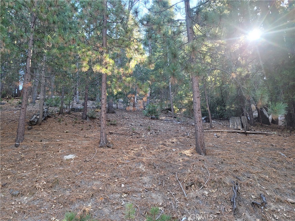 Arrowhead Woods (AWHW) - Land