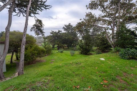 Tiny photo for 7432 Exotic Garden Drive, Cambria, CA 93428 (MLS # NS25047717)