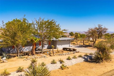 A home in Joshua Tree