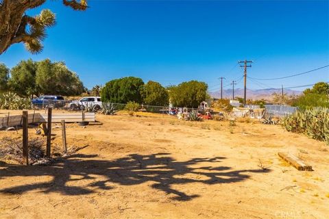 A home in Joshua Tree