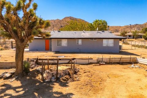 A home in Joshua Tree