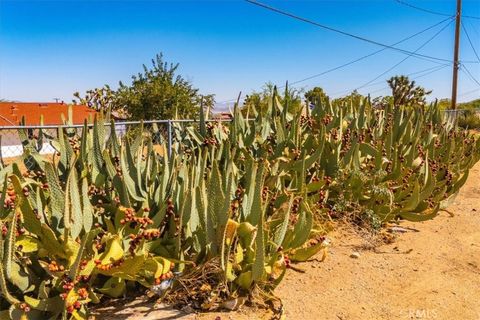 A home in Joshua Tree