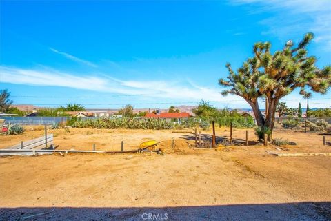 A home in Joshua Tree