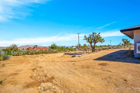 A home in Joshua Tree