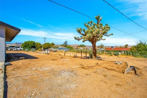 A home in Joshua Tree