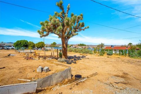 A home in Joshua Tree