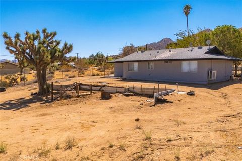 A home in Joshua Tree