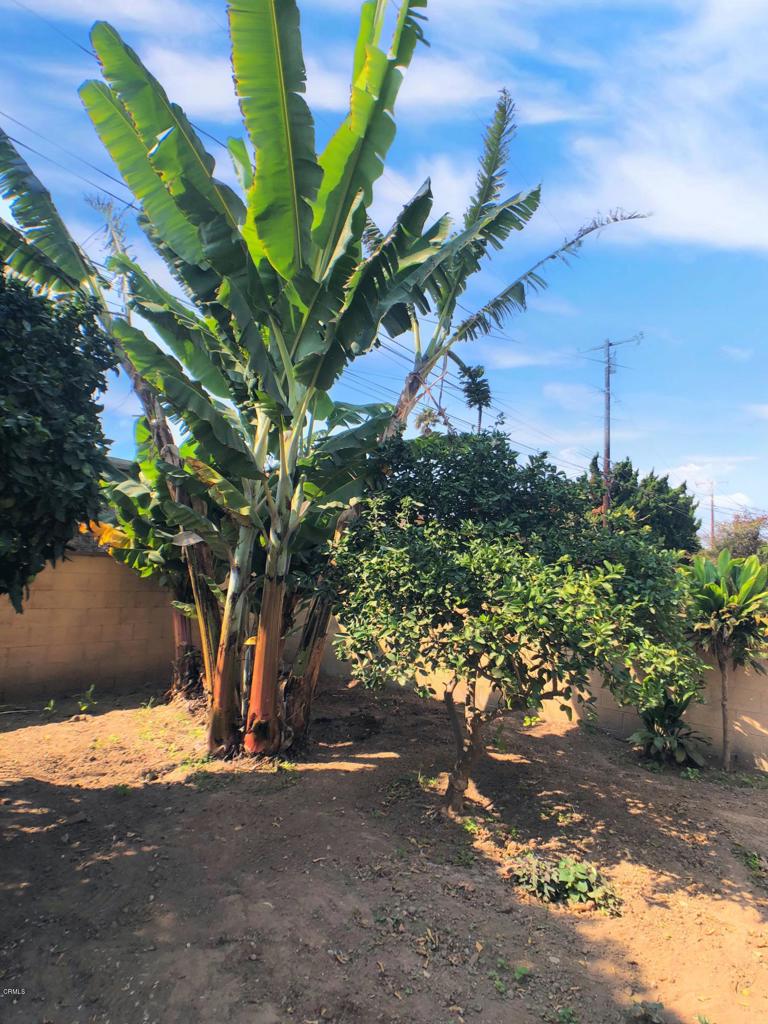 Elm Park - 0352 - Residential