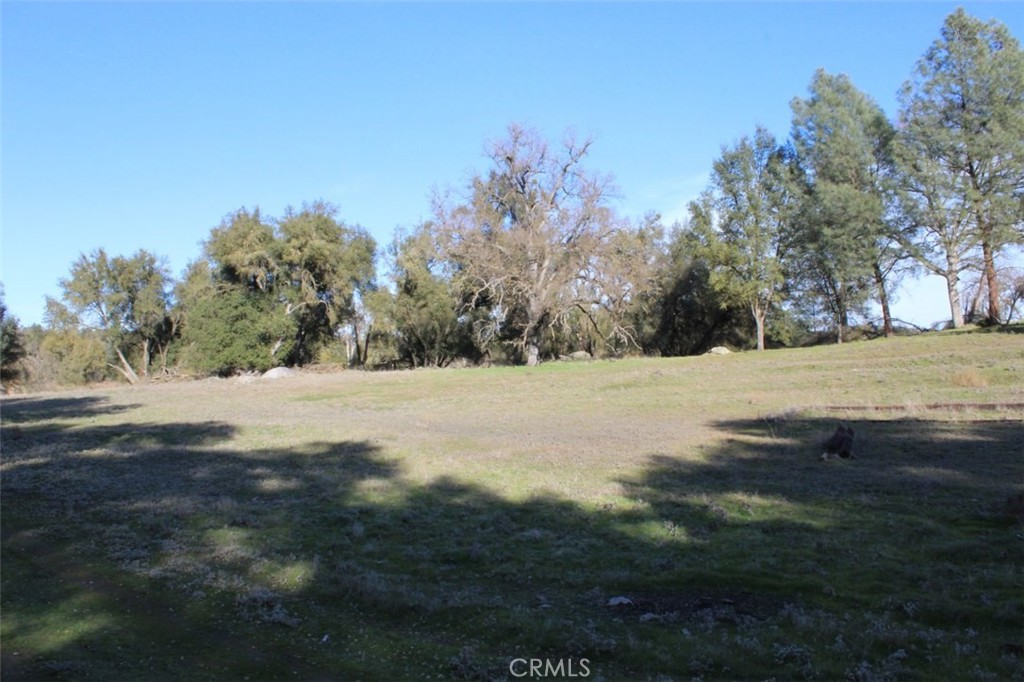 View Mariposa, CA 95338 property