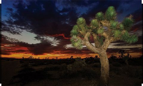 A home in Palmdale