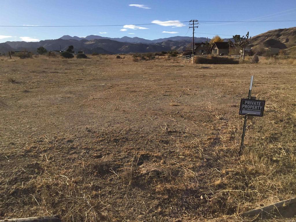 Mostly flat rectangular 1.25 acre lot in Pioneertown Proper. Walking distance to Mane Street. Beautiful mountain views. Lot is located at the very end of Roy Rogers and Kimosabe. Electrical pole on or near property edge. San Bernardino Water has a water source/meter on the property but it is NOT owned by sellers. Please check with San Bernardino Water as to the ability to obtain your own meter and water. Walking distance to Pappy and Harriets, Red Dog Saloon and Mane Street, yet far enough away for peace and serenity.