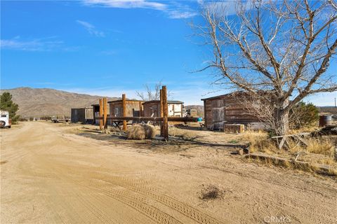 A home in Apple Valley