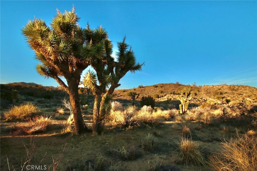 VIEWS!!! VIEWS!!! VIEWS!!! This very large 8.25 acre parcel is perfect for an amazing getaway. Imagine yourself in the home of your dreams on this picturesque piece of land.
Dotted with beautiful Joshua Trees. Off the beaten path, but still close to everything.
Stunning views from every angle. Don't let this get away. The sky is the limit with what you can do.