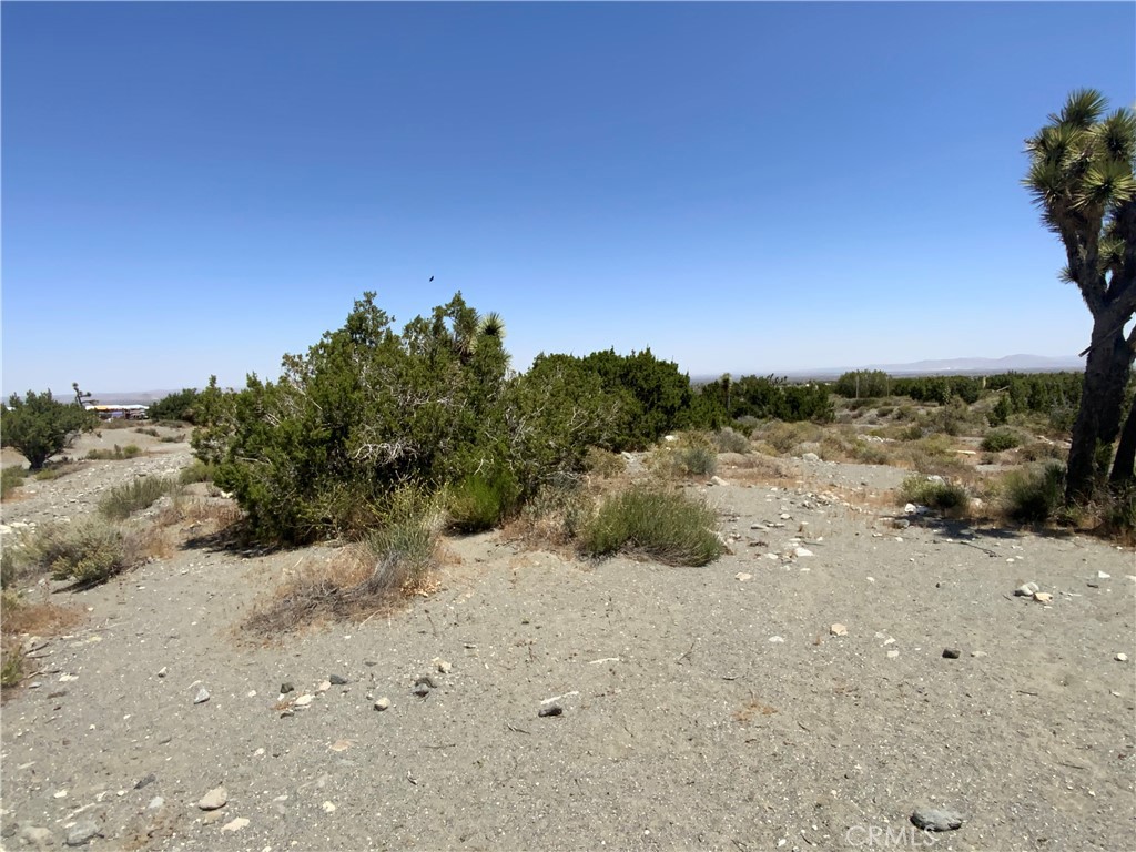 2975 Yucca Terrace Drive