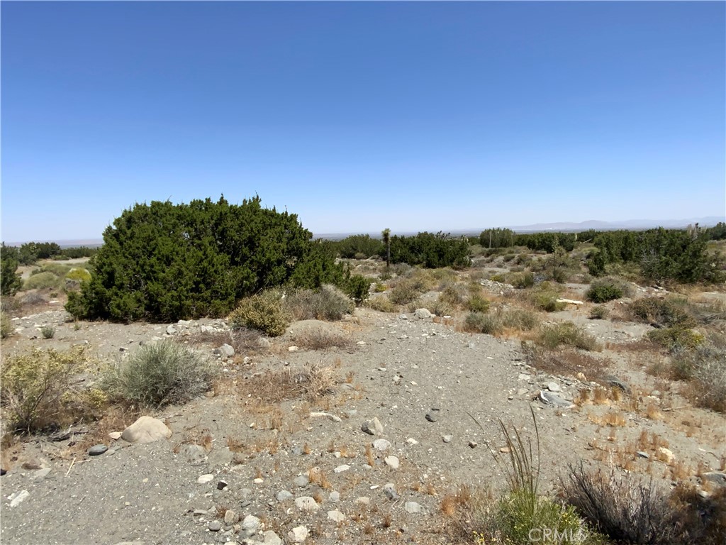 2975 Yucca Terrace Drive