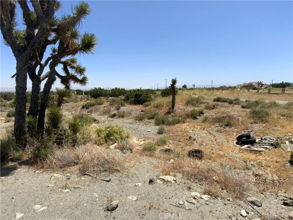 2975 Yucca Terrace Drive