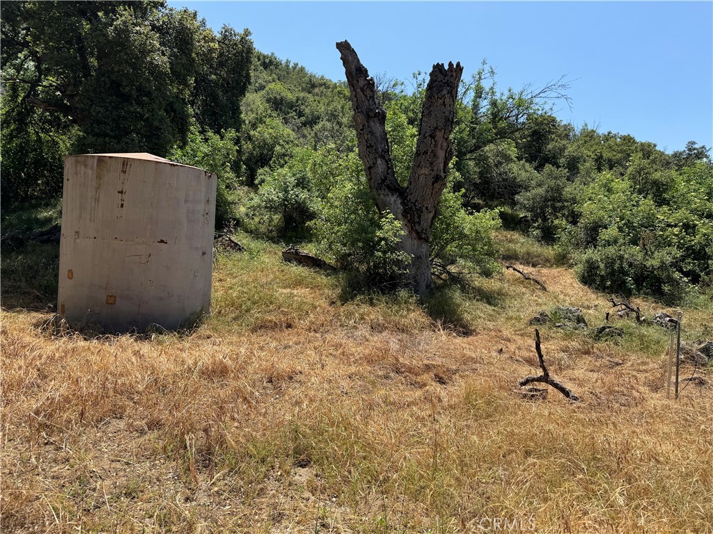 0 San Francisquito Canyon Road