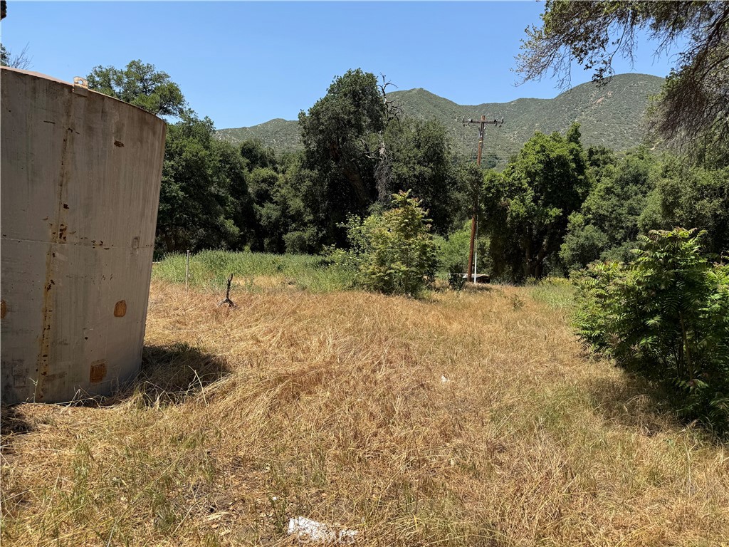 0 San Francisquito Canyon Road