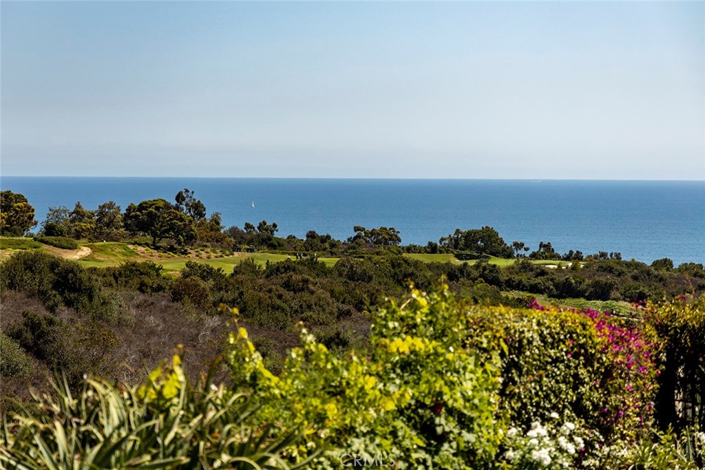 Pelican Hill (NCPH) - Residential