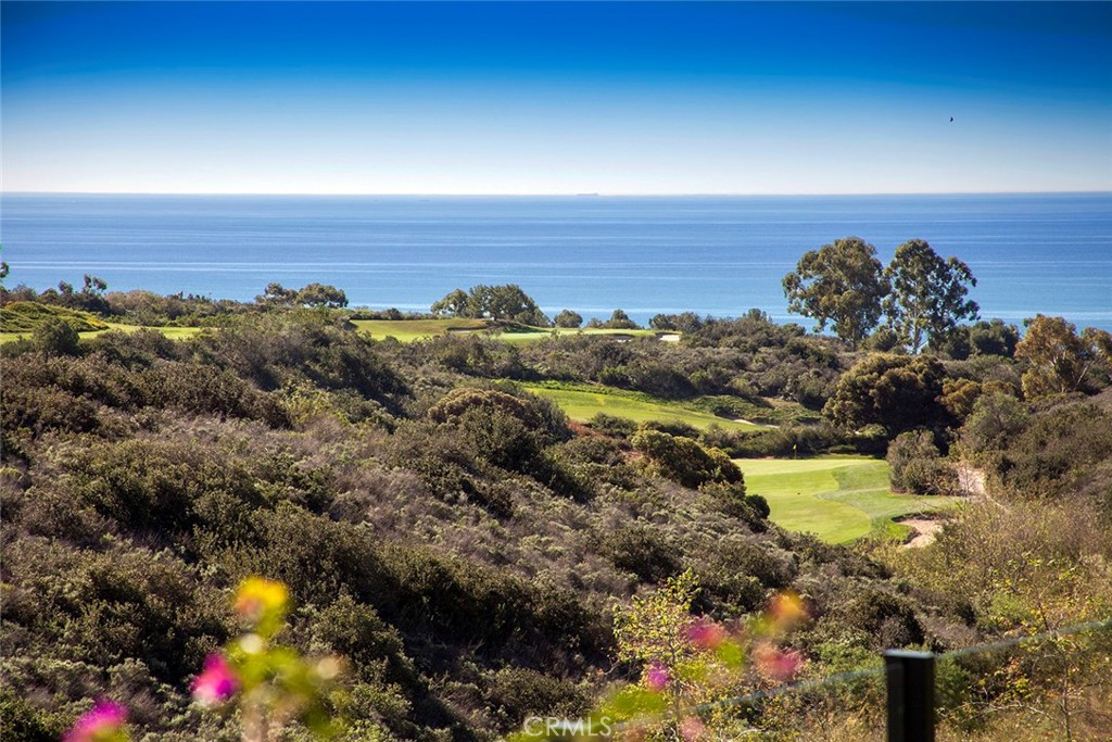 Pelican Hill (NCPH) - Residential