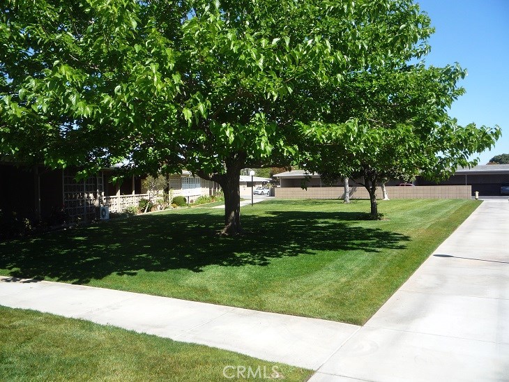 Mutual #4 Unit #46I Car Port #58 Car Space #55 This unit is beautiful! It is located on a greenbelt with trees facing east for the morning sun. There is a tiled entry and new carpet and vinyl flooring throughout. The entire unit, including cabinets have been freshly painted. The unit is truly move in ready. This is a full expansion. The largest sq. footage in a two bedroom unit. New baseboards have been recently added. There is a newer refrigerator and oven in the kitchen. The kitchen and bathroom both have skylights that open. The master bedroom has been expanded and a very large walk in closet added. There is a wall air conditioner for those hot summer days. The ceilings are smooth.