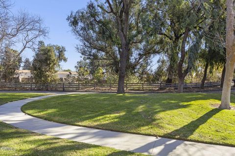 A home in Ventura