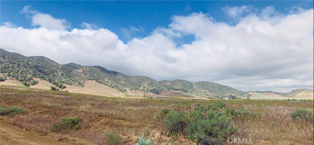 Opportunity awaits! This eye-catching 2.69 Acre lot sits between Wagner and Orrick overlooking the vast Tehachapi Mountains! This is the perfect lot to turn into your secluded mountain dream home. All within minutes of downtown Tehachapi, shopping, restaurants, and Highway 58. Drive by, take a sneak peek of this land of opportunity, it could be yours!