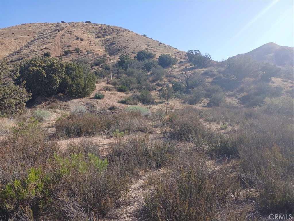 Custom Acton (CACTO) - Land