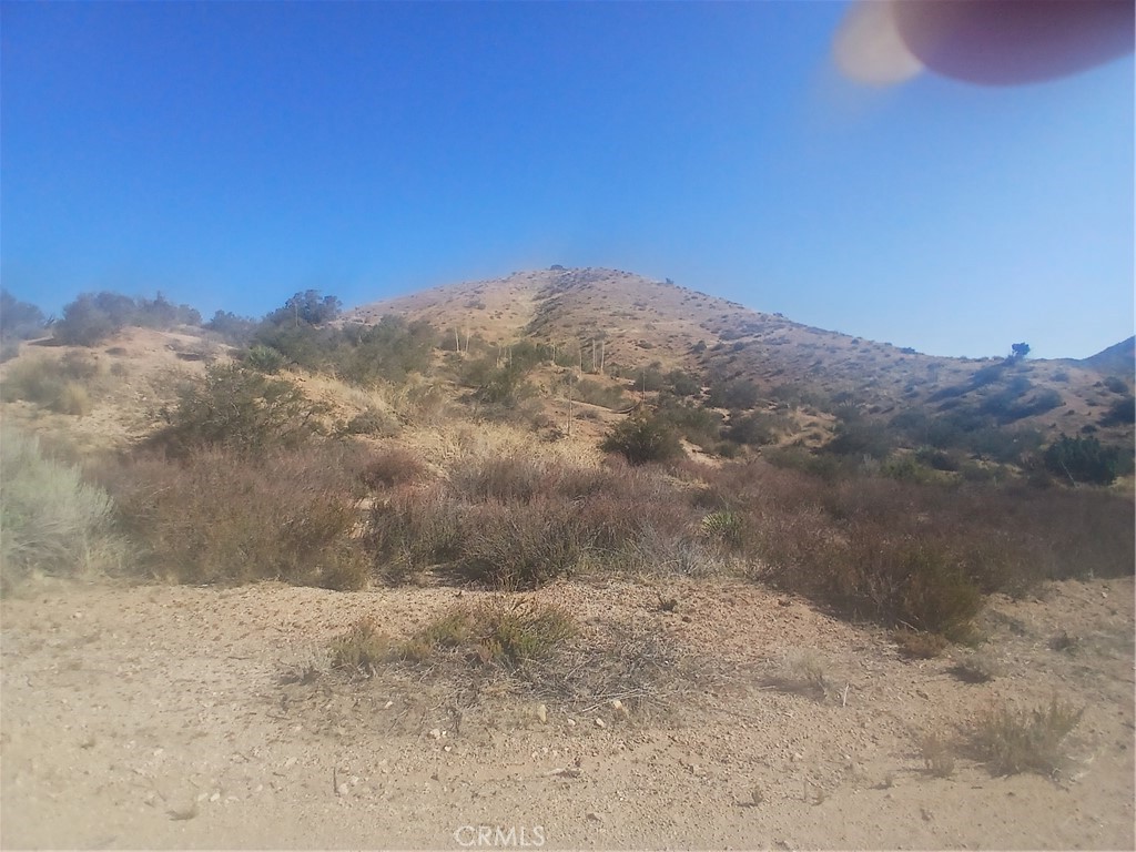 Custom Acton (CACTO) - Land