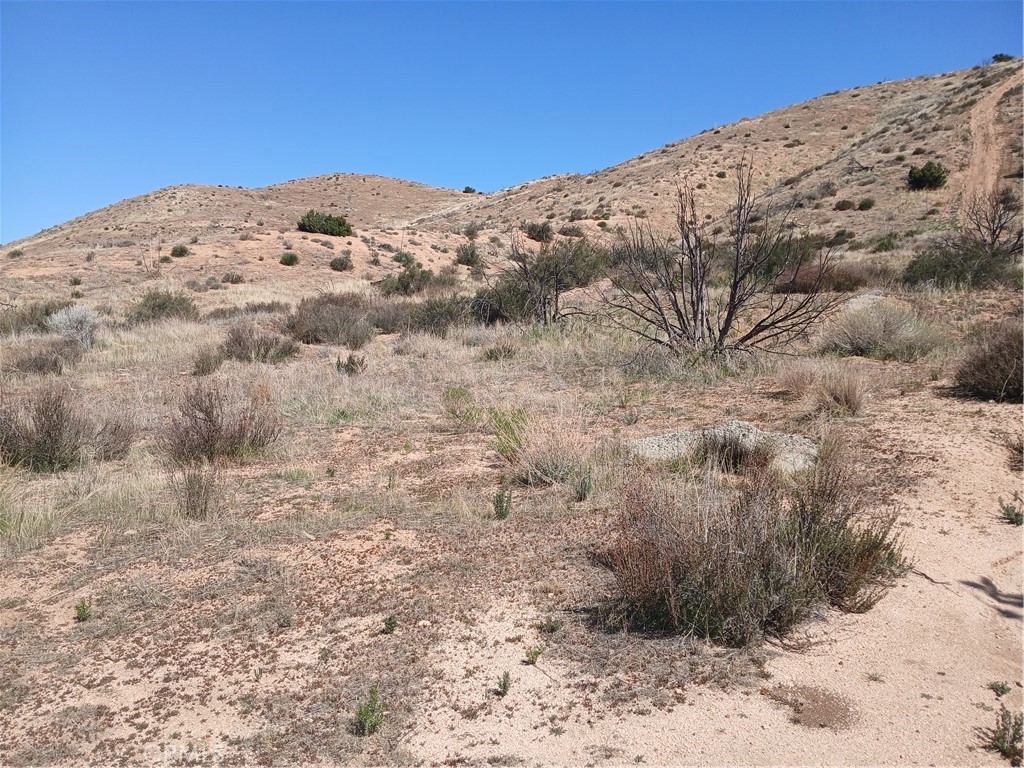 Custom Acton (CACTO) - Land