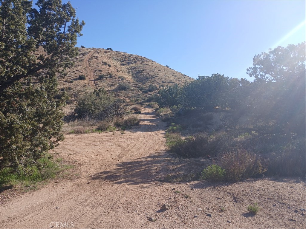 Custom Acton (CACTO) - Land