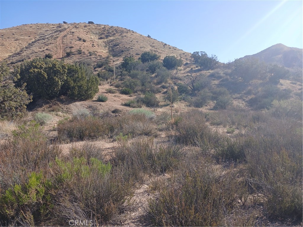 Custom Acton (CACTO) - Land