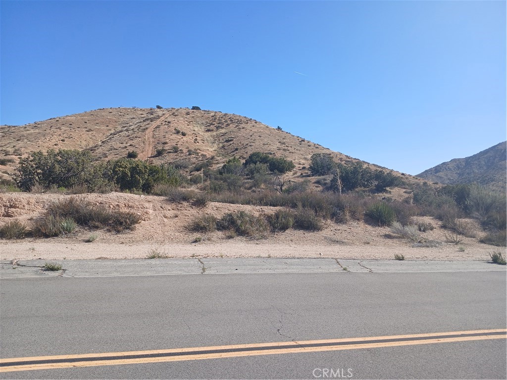 Custom Acton (CACTO) - Land