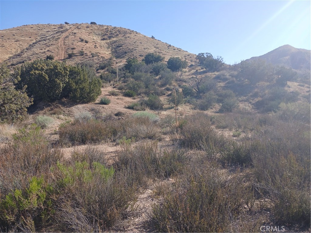 Custom Acton (CACTO) - Land