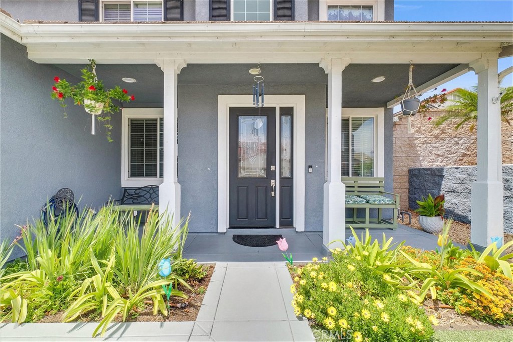 15370 Brianne