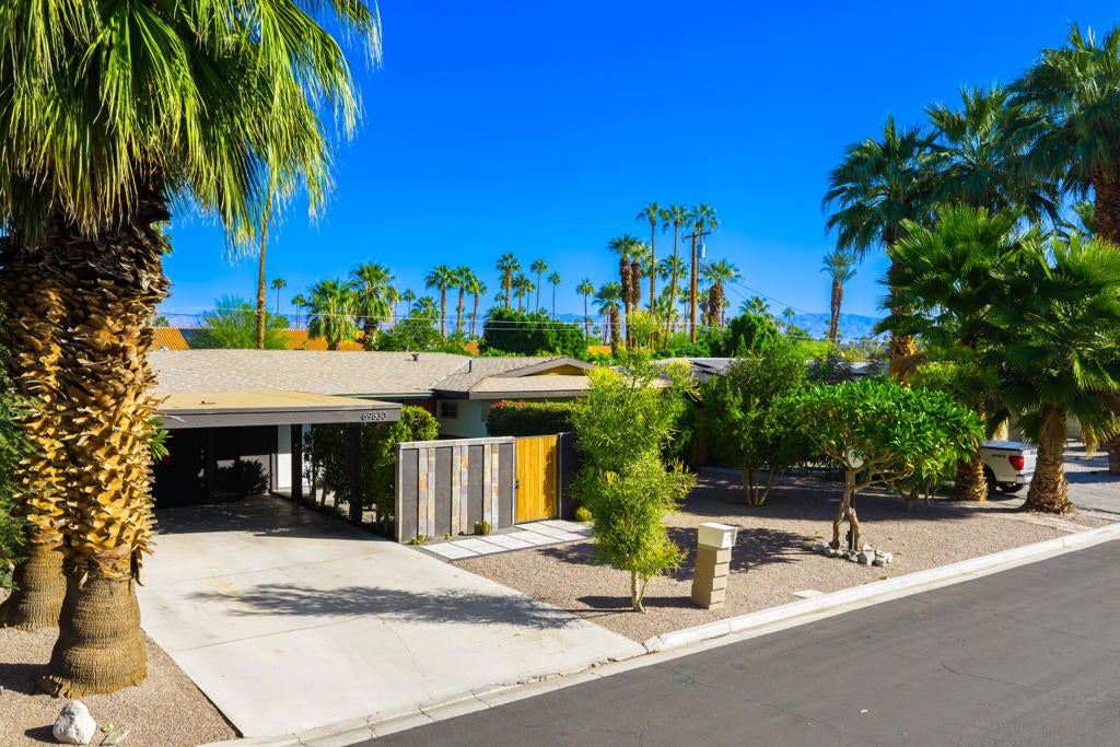 69830 Papaya Lane