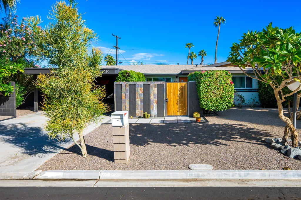 69830 Papaya Lane