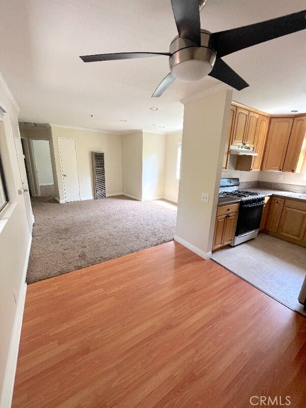 248 W Avenida Palizada