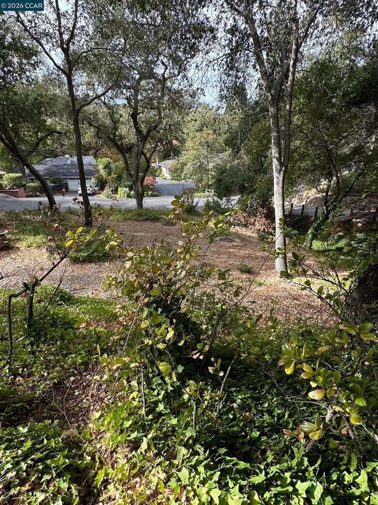 4 El Sereno