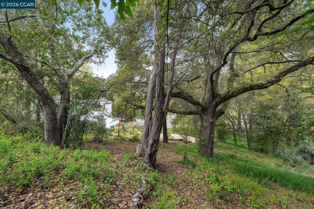 4 El Sereno