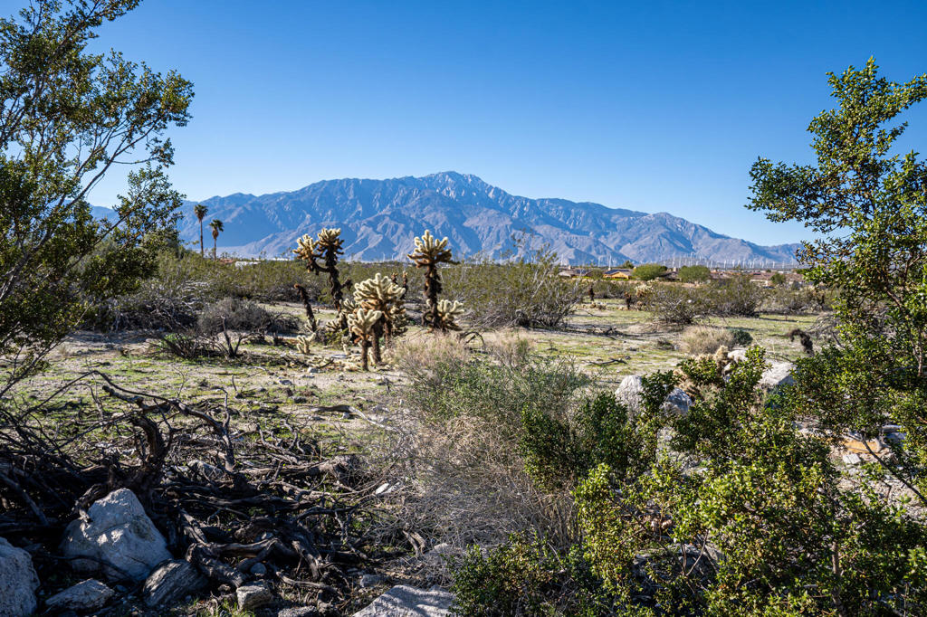 Not Applicable-1 - Land