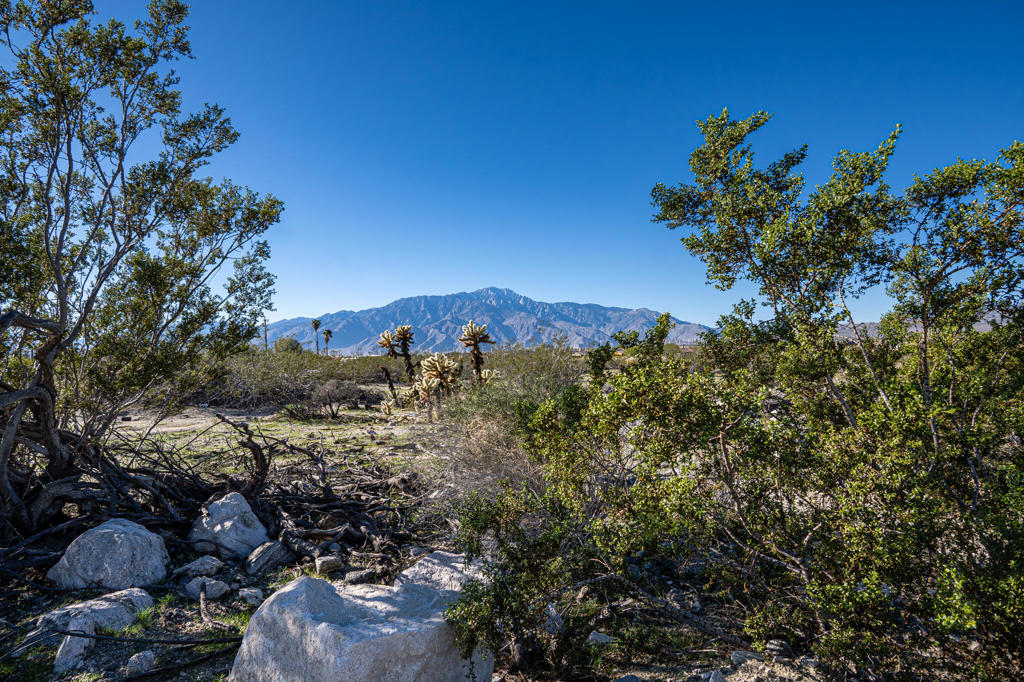 Not Applicable-1 - Land