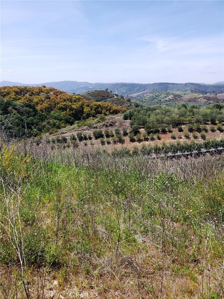 8 La Cruz Drive