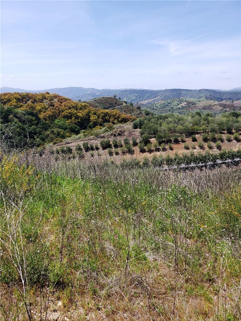 listing image 130729906004412225770