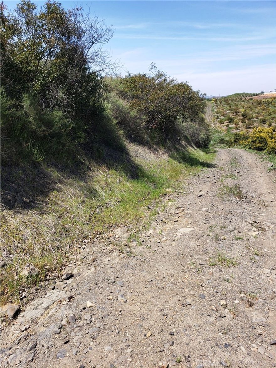The bank says MAKE AND OFFER! Panoramic views of De Luz hills and golf course is within walking distance. Oak lined entrance leads to rough cut pad that has potential to be a expanded for a large estate or for quite country get-away. Water district zone of benefit fees paid and county records indicate grading and house plans had been submitted in the past but current status is unknown. Great Property! Great Price!